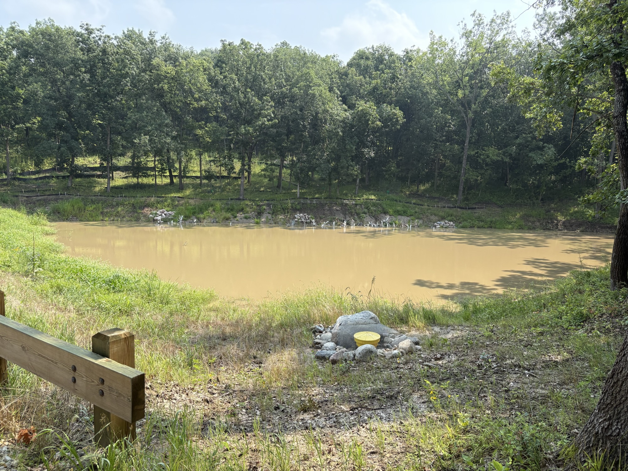 Pond (Phase Two)